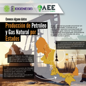 Producción de Petróleo y Gas Natural por Estados