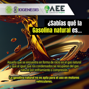 Que es la gasolina natural